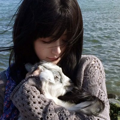 船上的猫